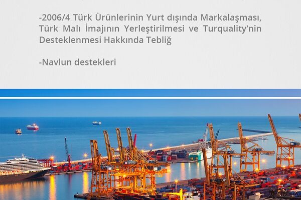 İhracata Yönelik Devlet Yardımları Eğitimi - 8